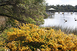 Lake Claremont by Heidi Hardisty