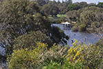 Lake Claremont by Sally Wallace