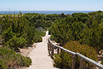 Seawood Corridor from Swanborne Reserve by Lesley Shaw