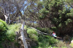 Bushland above the Vlamingh Parklands Jetty by Sally Wallace