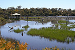 Lake Claremont by Heidi Hardisty