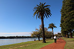 Lake Monger South by Sally Wallace